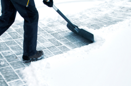 Large Banner Image - Winter