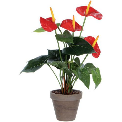 Keinotekoinen Anthurium-kasvi - Vepabins