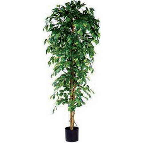 Keinotekoinen Ficus Benjamina 210cm ilman koristeruukkua - Vepabins