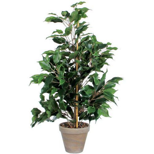 Ficus Exotica Keinotekoinen kasvi 65cm - Vepabins