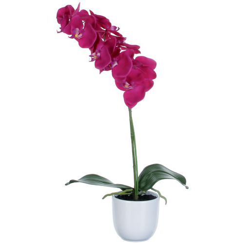 Keinotekoinen Phalaenopsis Orchid 60cm - Vepabins