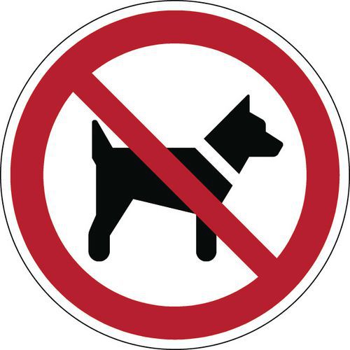 Kieltomerkki - koirat kielletty - jäykkä