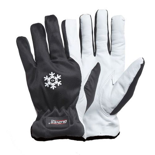 Talvihanska asennustöihin Dex 11 - Glovespro