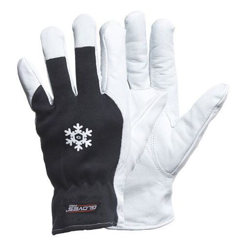 Talvihanska asennustöihin Dex 12 - Glovespro