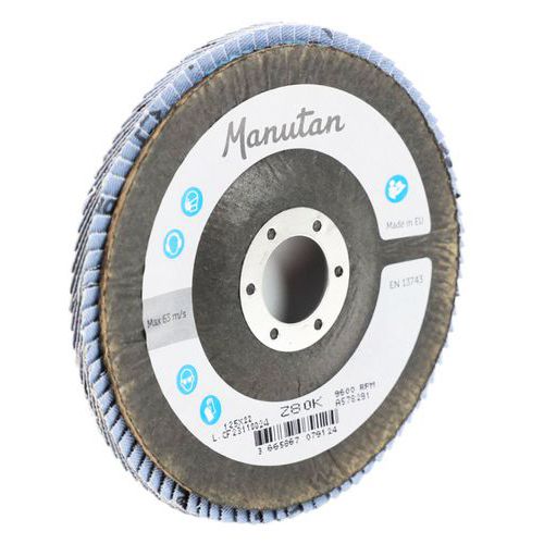 Kaareva hiomalevy, halkaisija 125 mm - Manutan Expert